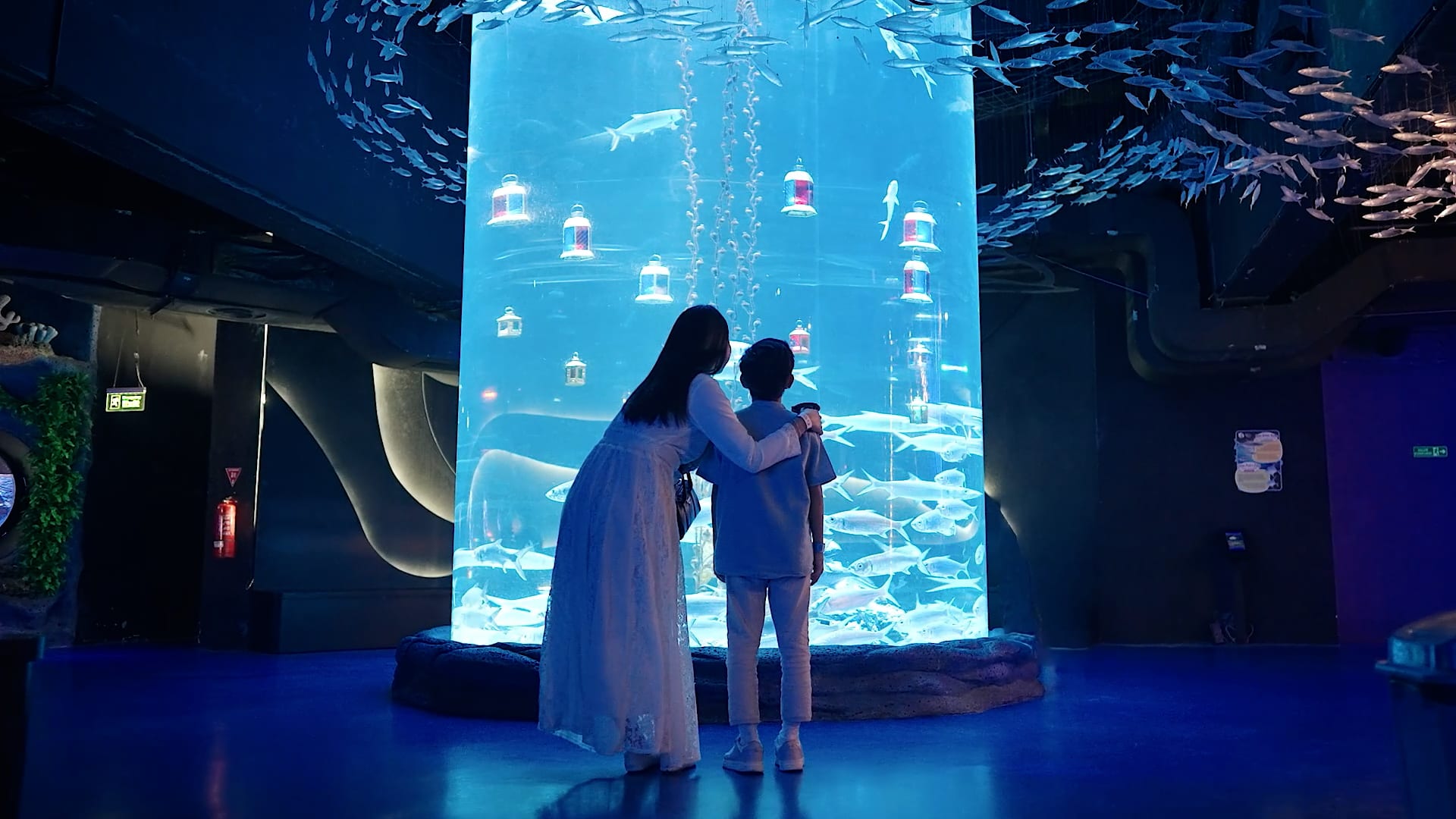 Jakarta Aquarium — Commercial production still 5 by Emerge Productions, Jakarta