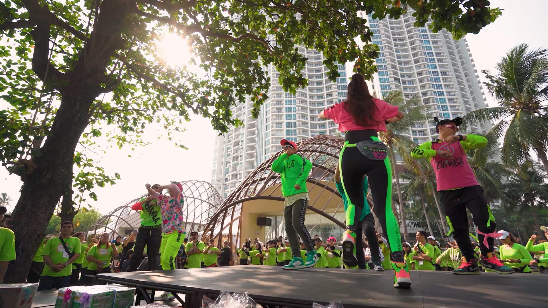 Dailie Active Move
